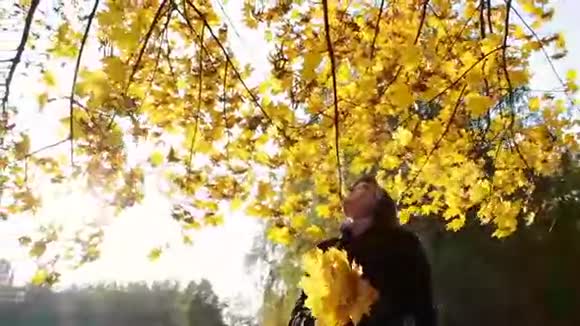 一个女孩从树枝上扔出黄色的叶子视频的预览图