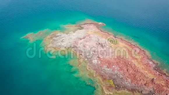 未居住的处女岛是由火山活动造成的野生小海鸥之家视频的预览图