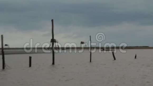 海滩上的木桩视频的预览图
