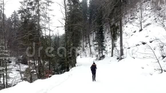 旅行者带着雪在山上视频的预览图