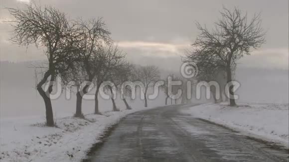 冬天的路上有光秃秃的树视频的预览图