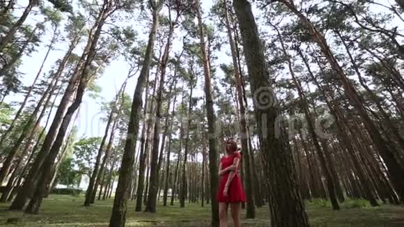 一个穿着红色裙子的非常漂亮和时尚的女人穿过森林视频的预览图