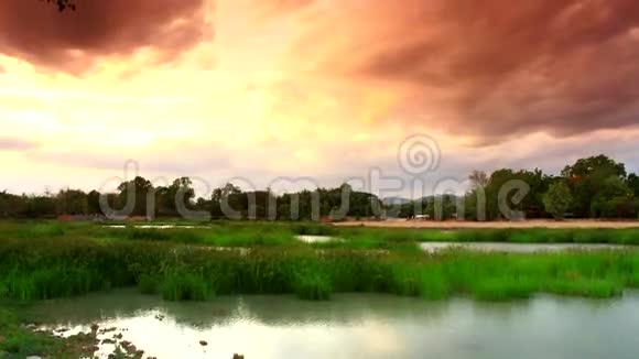 时光流逝池塘里长满了青草和黄黄的天空视频的预览图