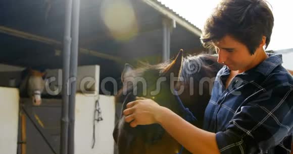 女人在马厩里抚摸马视频的预览图