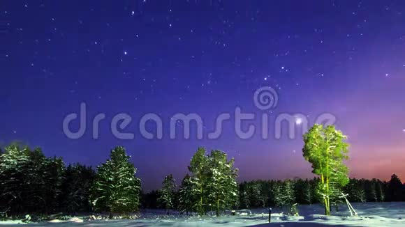星星在冬天的森林里时间流逝4K视频的预览图