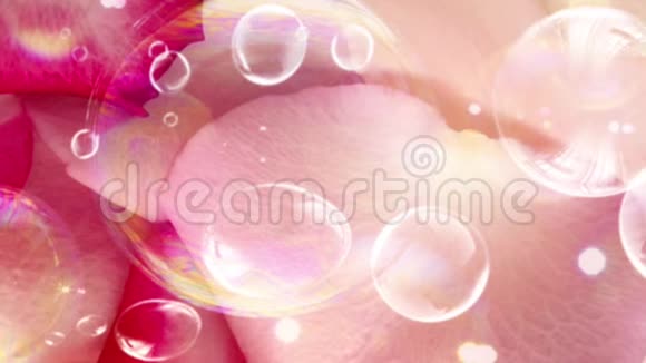 泡泡彩虹反射泡泡玫瑰花瓣视频的预览图
