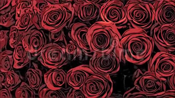裁剪视频的花束大嫩的红玫瑰摄像机在向上移动视频的预览图