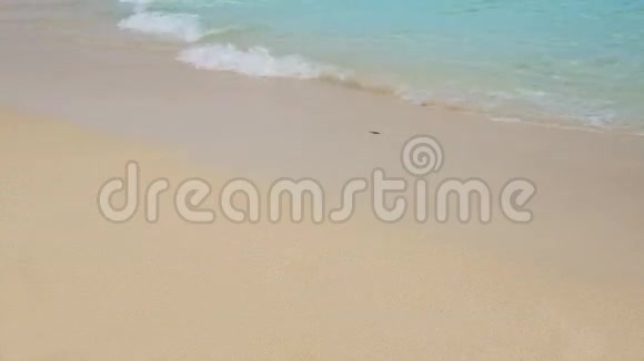 完美的海滩碧绿色的水色和波浪视频的预览图
