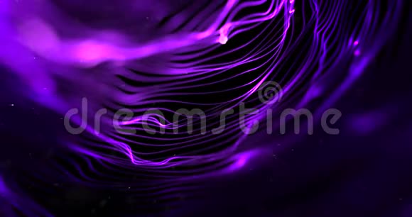 黑色背景科学研究中带有粒子的抽象流阵紫紫闪光线视频的预览图