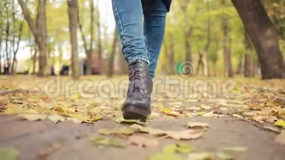 穿过树叶的女人秋天公园视频的预览图