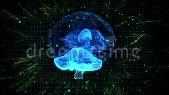 三维动画图形设计人脑和脑干显示和旋转与知识或MRI扫描的创造力模型视频的预览图