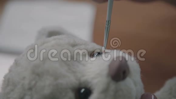 制作泰迪熊的过程主人画玩具眼睛视频的预览图