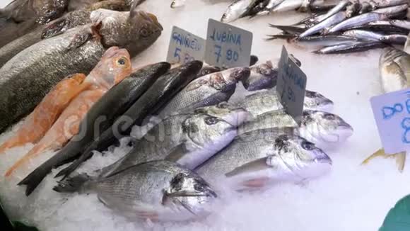 在拉波奎利亚鱼市场的冰中展示海鲜巴塞罗那西班牙视频的预览图