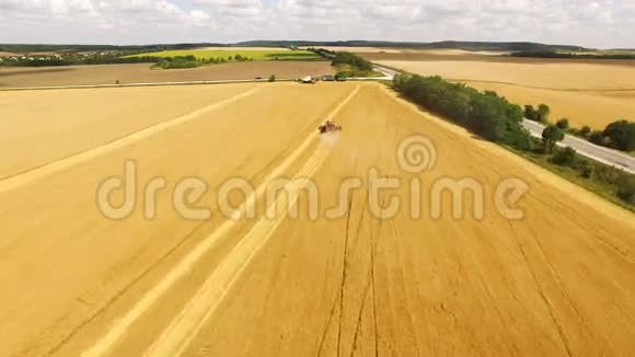联合收割机的空中视野使小麦作物在4k范围内聚集视频的预览图