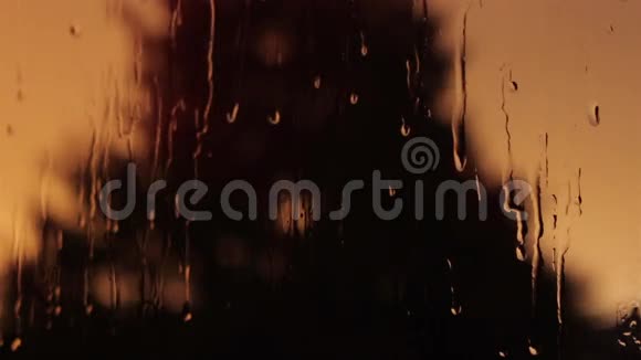 窗口窗格背景上的雨滴视频的预览图