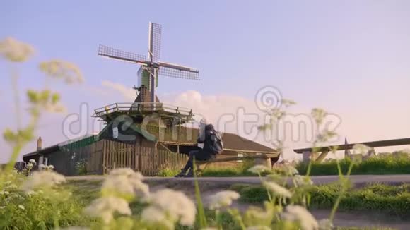 荷兰乡村景观视频的预览图