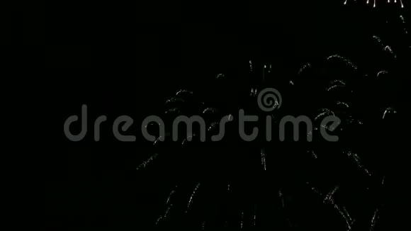 明亮的节日烟火在黑暗的夜空中时间跨度视频的预览图