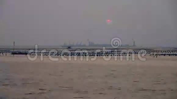 泰国以货运港口为背景的海上日落时间视频的预览图