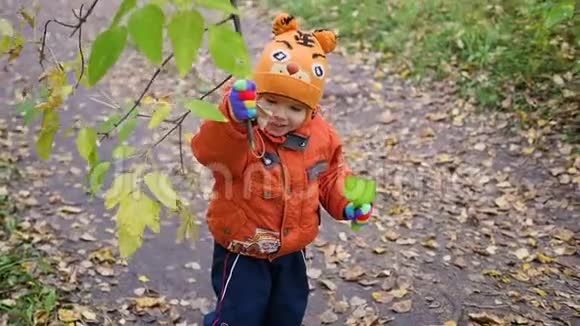 在秋天公园玩树叶的孩子在新鲜空气中散步秋景视频的预览图