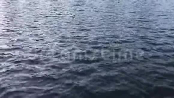 自然的湖面视频的预览图