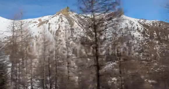 冬季山林视频的预览图