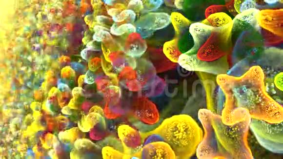 抽象的微生物样形状在视角上发生了变化很详细视频的预览图