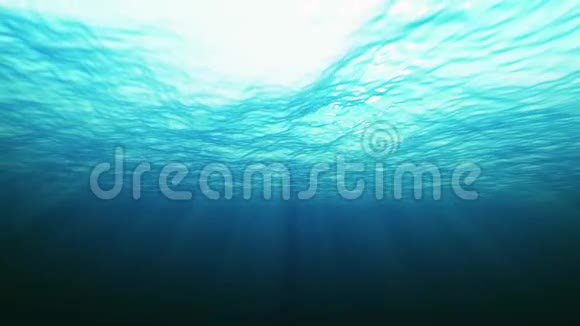 从水下看到海洋背景视频的预览图