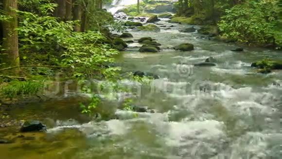 森林里的小河泰国清迈视频的预览图