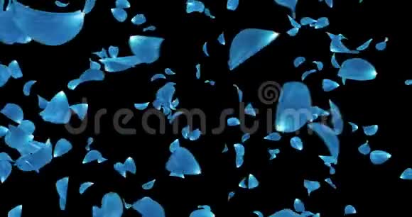 旋转飞舞的浪漫蓝玫瑰花花瓣背景阿尔法哑光循环4k视频的预览图