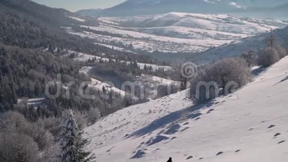 一个孤独的游客走过山林中的雪冬天雪林里的旅行者一个年轻人视频的预览图