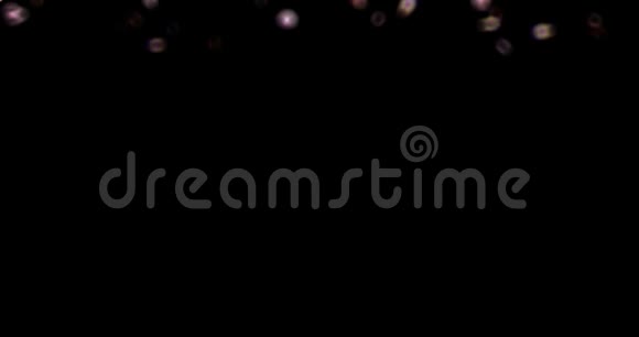 落粉紫樱花花瓣轻过渡阿尔法哑光环4k视频的预览图