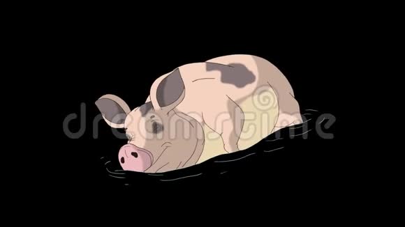 大黄粉猪睡阿尔法哑光视频的预览图
