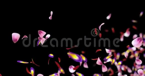 飞行模糊红粉樱花花花瓣占位符阿尔法哑光环4k视频的预览图