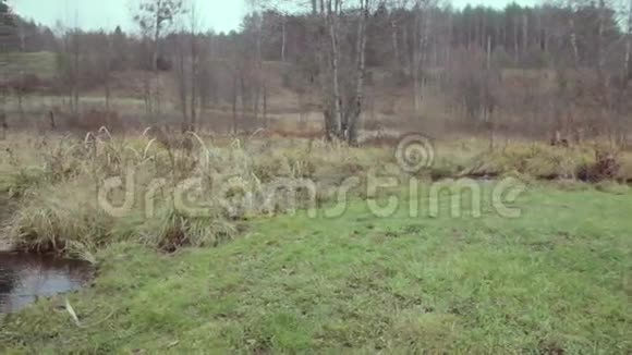 立陶宛的村庄秋天的河流树木和木桥视频的预览图