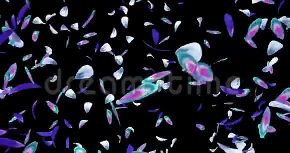 漩涡浪漫蓝紫兰花花瓣背景阿尔法哑光环4k视频的预览图