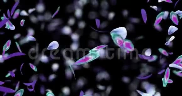 漩涡飞紫蓝兰花花瓣背景阿尔法哑光环4k视频的预览图