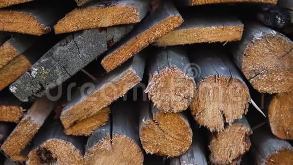 干劈柴的实松和桦木一堆视频的预览图