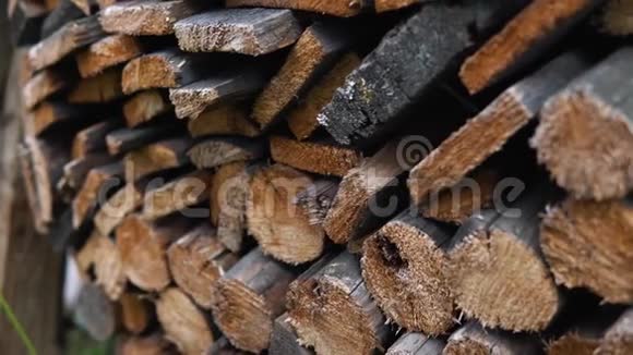 干劈柴的实松和桦木一堆视频的预览图