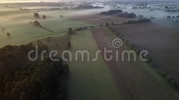 清晨无人驾驶飞机在田野和草地上飞行视频的预览图