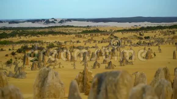 澳大利亚珀斯的仙人掌沙漠日出视频的预览图
