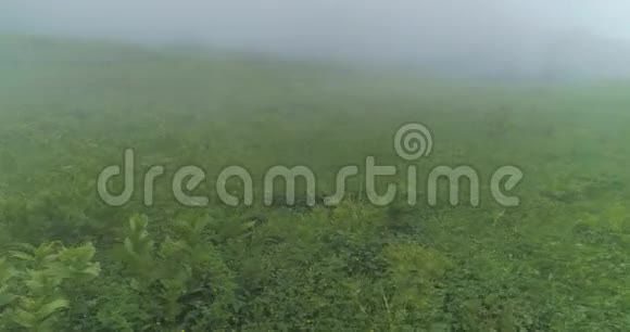 雾和云在乡下视频的预览图