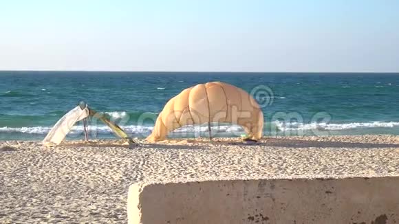 中东的海滩和有趣的旅游视频的预览图
