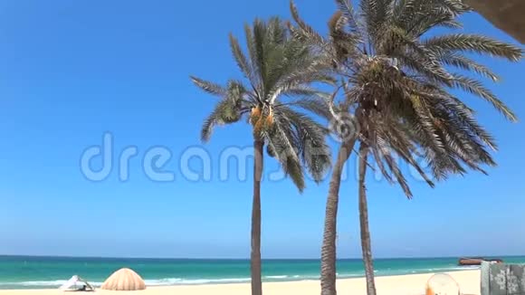 中东的海滩和有趣的旅游视频的预览图
