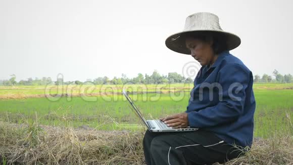 亚洲泰国农民在稻田中使用笔记本电脑HUD向上显示界面图圆加载天气元素视频的预览图