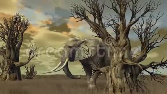 大象穿过草原视频的预览图