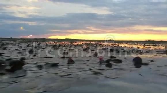 游客乘船游览红睡莲湖视频的预览图