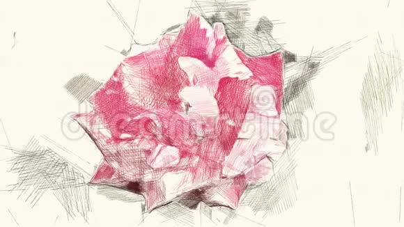 玫瑰花的绘画颜色视频的预览图