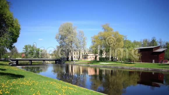 春天的河流景观视频的预览图