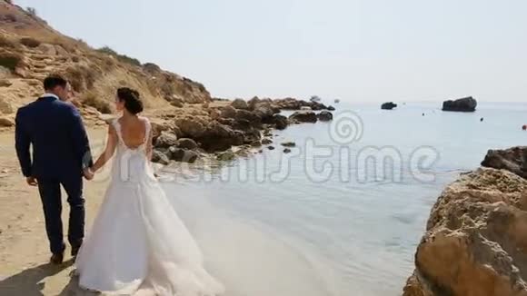 在岸边的一对年轻漂亮的新婚夫妇视频的预览图