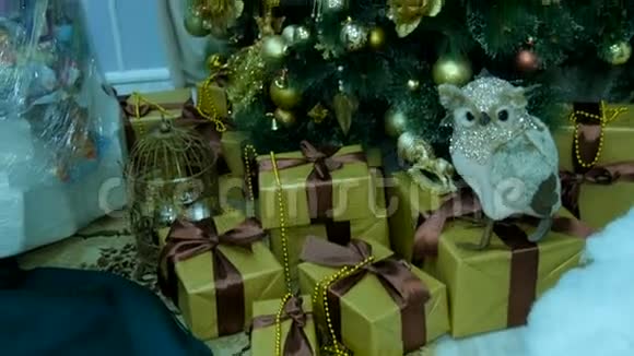 装饰圣诞树下的礼物视频的预览图